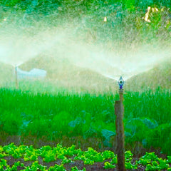 Aspersor P5 com Rosca Externa de 1/2" - Agrojet - Unitário