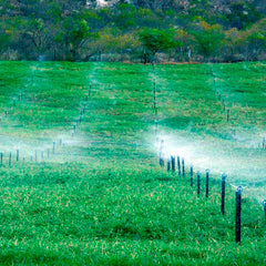 Aspersor P5 com Pinça + Duas Anilhas de Garra + Tubo PELBD de 16 mm (42 cm) + Tê Triplo de 3/4" x 1/2" - Unitário