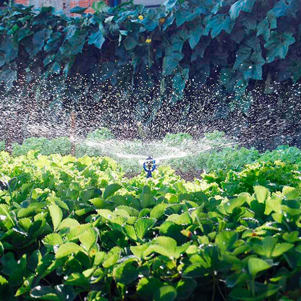 Aspersor Horta Fácil com Adaptador para Mangueiras - Agrojet - Unitário